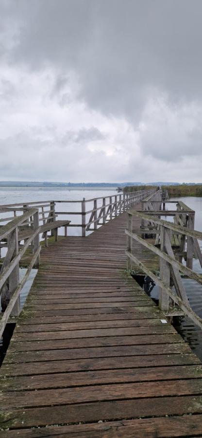 Fewo Im Alten Fachwerkhaus Bad Buchau Exteriör bild